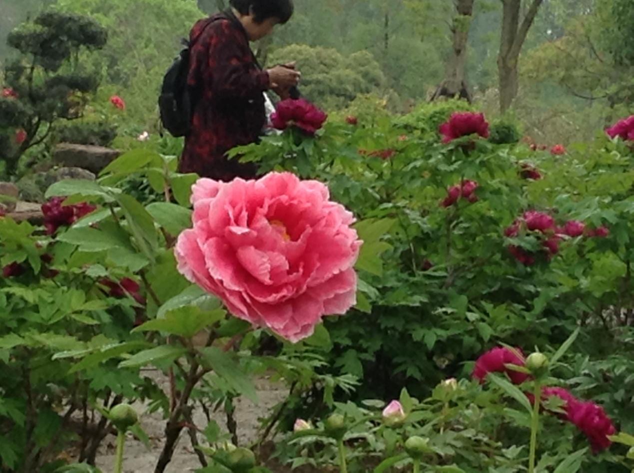 http://www.econ.fudan.edu.cn/dofiles/img/2014050482132607.jpg